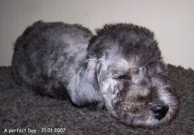 41-ARC-EN-CIEL A NICE DAY - GINZA 21012007 (2)A.jpg